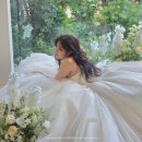 그리너플라워카페 | 비마이스튜디오 서울 : 그리너리 쇼파씬 후기