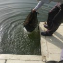 행복 낚시터 이미지