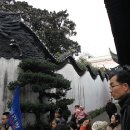 용담장 이미지