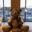 호텔뷰 | 신라스테이 해운대 조식 부산 오션뷰 호텔 후기