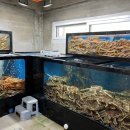 자갈치수산 이미지