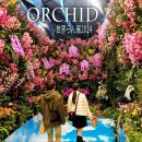 International Orchid and Flower Show 2024. #世界 蘭 展 #orchid 이미지