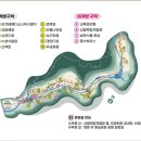 안양예술공원내 공영주차장 | 58년 만에 일반에 전면 개방한 서울대 안양수목원 방문 후기