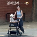 (주)에이.비.아이