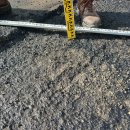 사하구 다대로 이미지