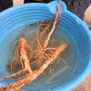 완판본문화관 | 전주한지체험 전주아이와함께 전주천년한지관 주차정보 및 후기