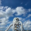 낙지공원 노을길야영장 무인카페 이미지