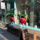 도나수이 | 대전 은행동 소품샵 꾸꾸 으능정이거리 소품샵 추천(내돈내산)