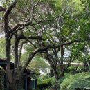 씨에스 호텔 앤 리조트 이미지