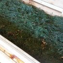 장작불 이야기 이미지