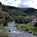 강남사슴농장 이미지