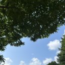 계곡속의바위집 | [가평]가평 속 라오스 계곡 추천 &#39;화악산계곡&#39; 숙소 &#39;계곡속의바위집&#39; 후기