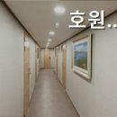 호원스타우스