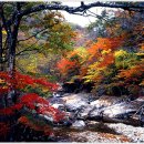 화랑포 충전소 이미지