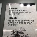 덕포리국수