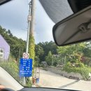 이천 소규모장 캠핑 스테이272 캠핑장 파인2 사이트 후기