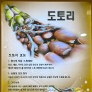 통돼지와도토리