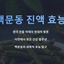 맥문동 진액이 요즘 대세인 이유! 건강에도 트렌드가 있다!!