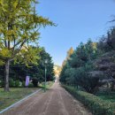 평화공원 쪽 이미지