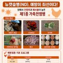 사결 농장 네이버블로그