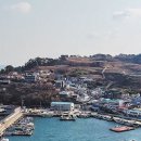 섬시 세끼 이미지