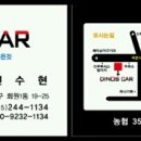 다이노스카 이미지
