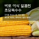 제주 토브 이미지