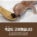 이지푸드 이미지