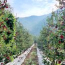 정성 농장 이미지