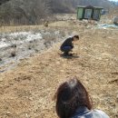 모레골 농장 네이버블로그