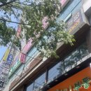 WR(부산광역시 북구)-[화명대로]-하-11 | [화명] 화명동맛집 ‘코지하우스 화명점’ 새우오이스터 &amp; 10불스테이크 후기