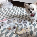 메이동동 이미지