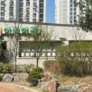 디딤돌어린이집 이미지