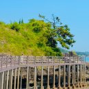 [경남 고성 여행] 고성 상족암 (공룡화석지 해변길) 완벽 가이드! 물때 정보와 해식동굴 포토존, 공룡...