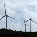 외룡카포스 이미지