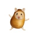 중앙시장 제1주차장 화장실 | [강원도] 강릉 길감자 강릉 중앙시장 필수 먹거리 맛집 오픈런 소스 추천 주차 내돈내산 솔직후기