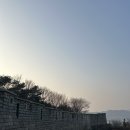 수풀떠들썩파랑나비 | [공지] 2026년 구름나무 달력, 3월 하늘을 움직이게 하는 달