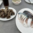 제주팡스테이 이미지