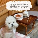 애견동반한옥템플스테이 | 수원 행궁동 애견동반 한옥카페 온유여월 온유라떼 곶감말이후기