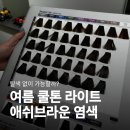 다람미용실 - 창원시 마산회원구 | 부천 상동역 미용실｜여름 쿨톤 탈색 없이 애쉬브라운 염색한 후기 +) 염색 후 샴푸/머리감기