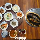 밥상마루 | [기흥 점심] 반찬 8가지+셀프바, 직장인 밥상 완성 | 고매마루 고등어구이 솔직후기