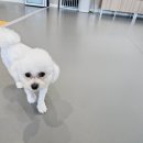 옐레드 부천상동점 이미지