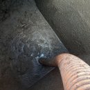 으뜸농장 2 이미지