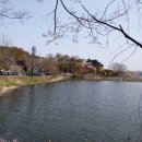 진소머리국밥 - 부천시 소사구 소삼로 17-1 | 진소머리국밥
