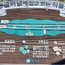 낙동강역사너울길 이미지