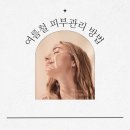 래미스킨