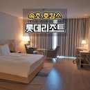 비고리조트 5 | 속초 롯데리조트 디럭스룸 후기 주차 및 정보