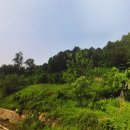 11650-7-2-20 이미지