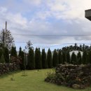 소보리애 이미지