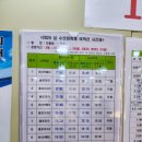 김밥천국신안점 | 신안가볼만한곳 선도 수선화축제 현황/선박정보(240331실시간)